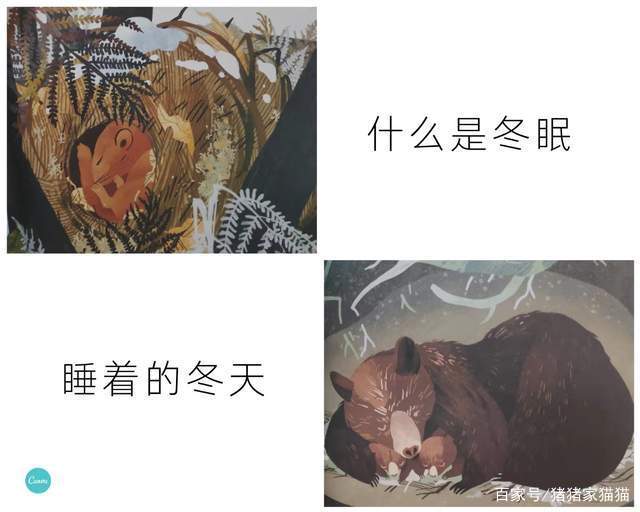 作文《假如人类可以冬眠》300字