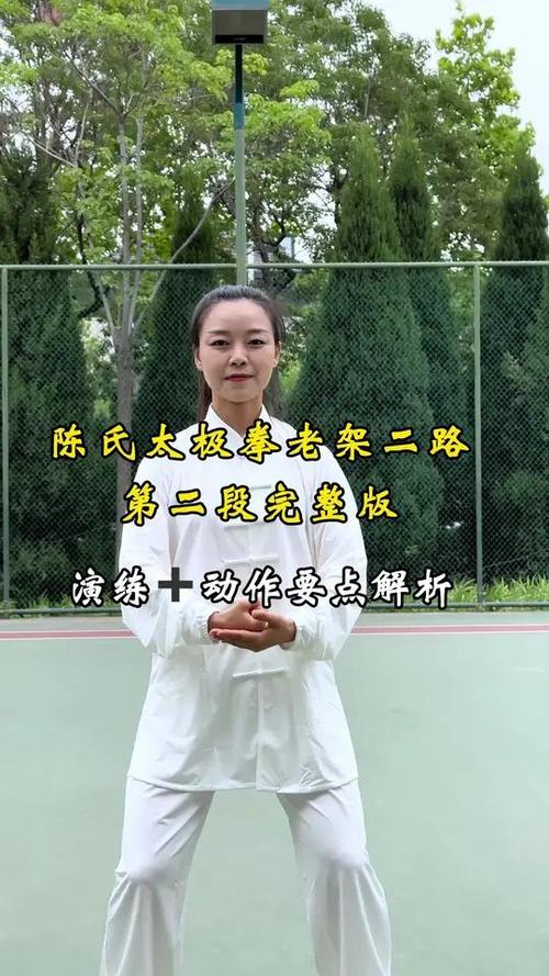 陈式十二式慢动作教学示范