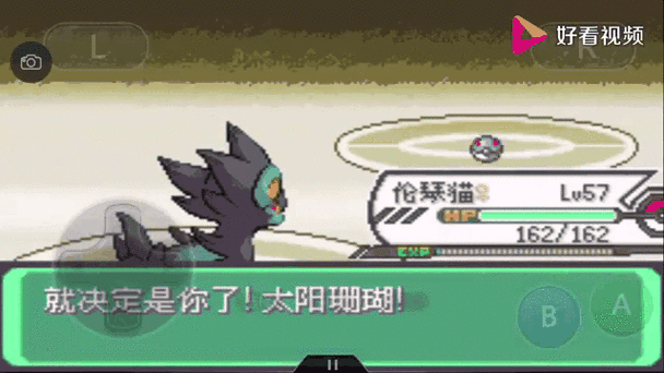 究极绿宝石4.b结实的木板怎么获得