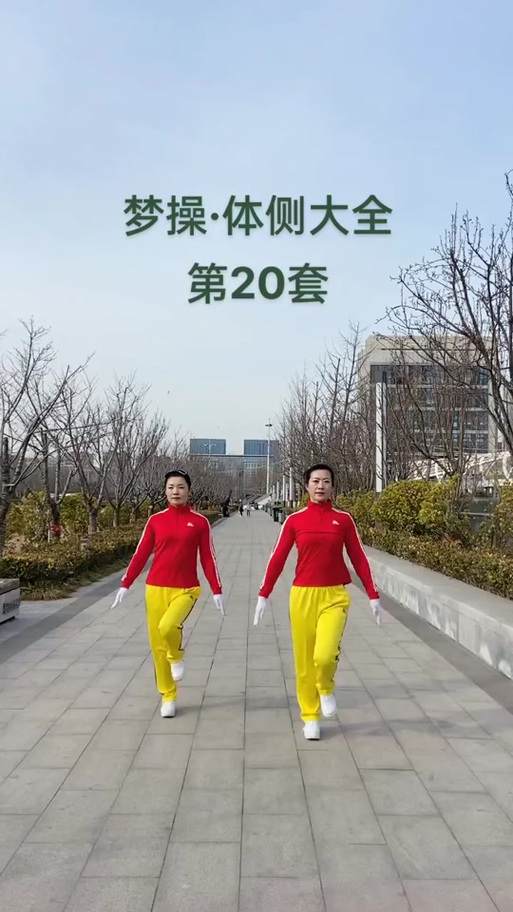 梦之队二十套一至十二节