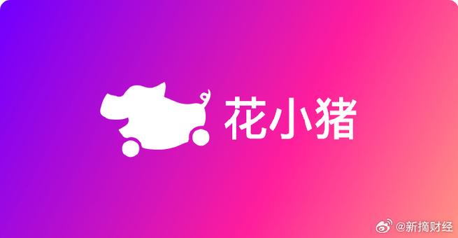 花小猪接单辅助软件