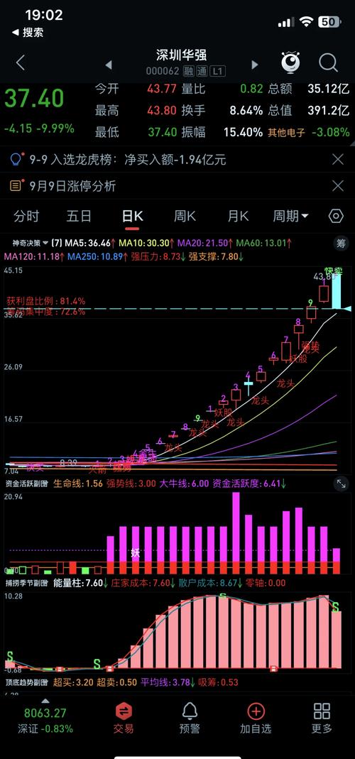 陈林决策先机选股公式截图