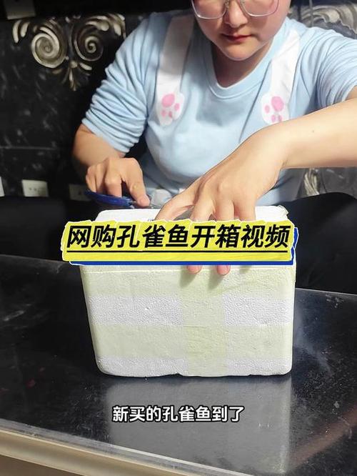 买孔雀鱼