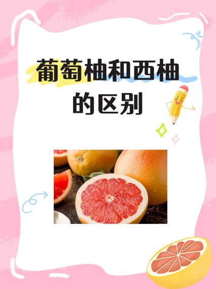 红柚和蜜柚有什么区别