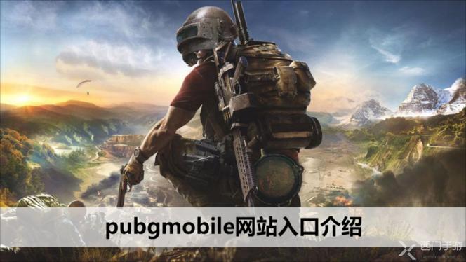 pubg网站