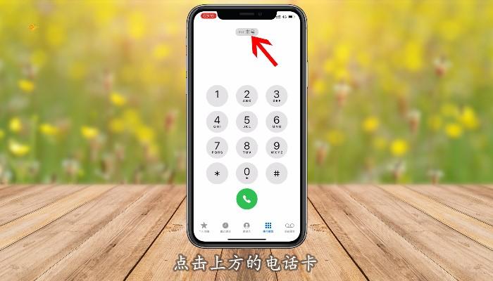 苹果双卡都可以接打电话吗