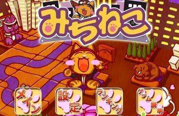 迷路猫