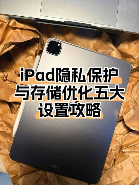 ipad隐私显示不了