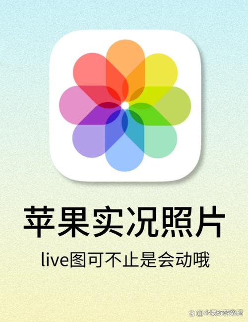 iphone11小视频卡顿