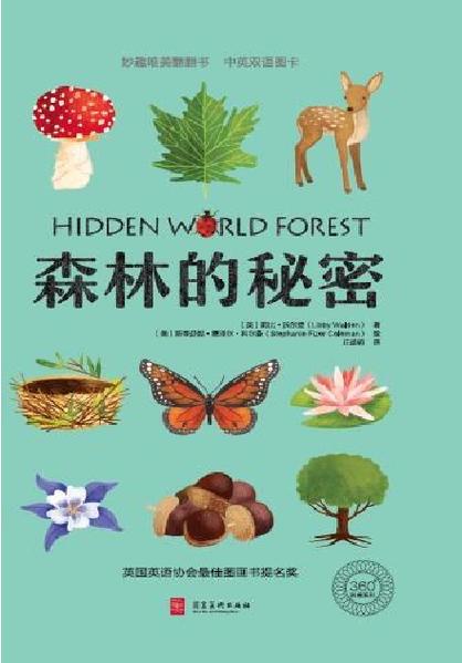 滚动的天空森林怎么没有了