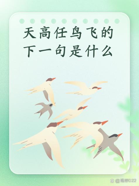 高赞是什么意思缩略图