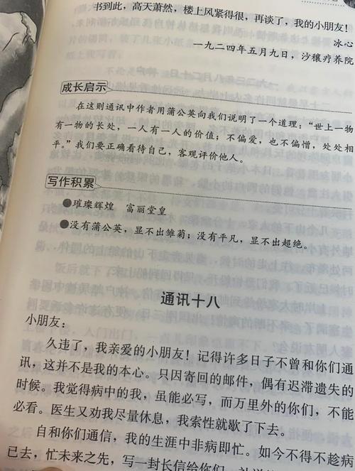 小说希望之星阅读理解