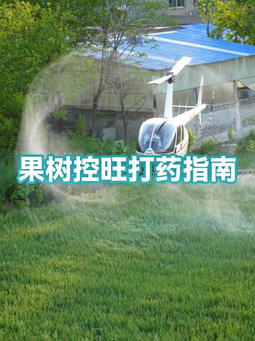 果树怎样用多效唑控旺
