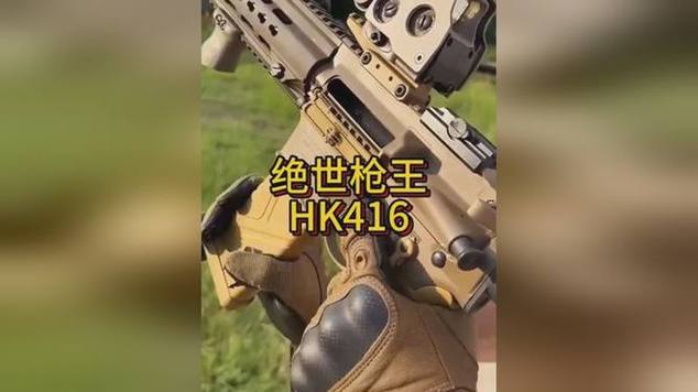 谅解HK416的视频