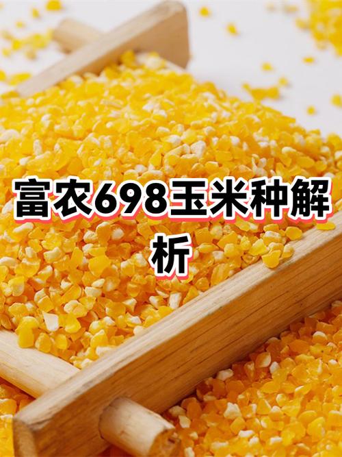 小富农一天能赚多少