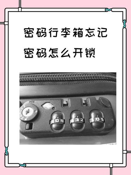 拉杆箱密码箱忘记密码怎么开
