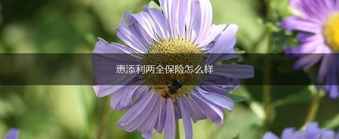 惠添利两全保险可靠吗