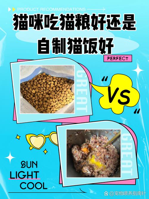 猫吃猫粮好还是猫饭好