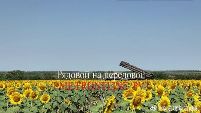 向日葵远程可以手机控制电脑吗