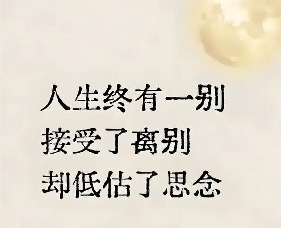 这辈子都别想知道我的情况