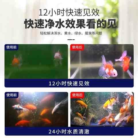 鱼缸水质测试剂什么牌子好图标