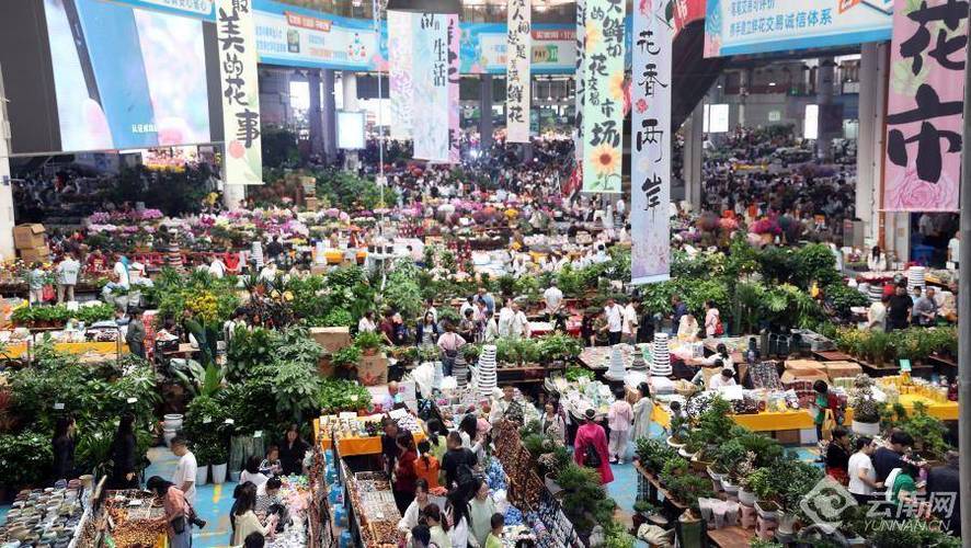 鲜花批发市场缩略图