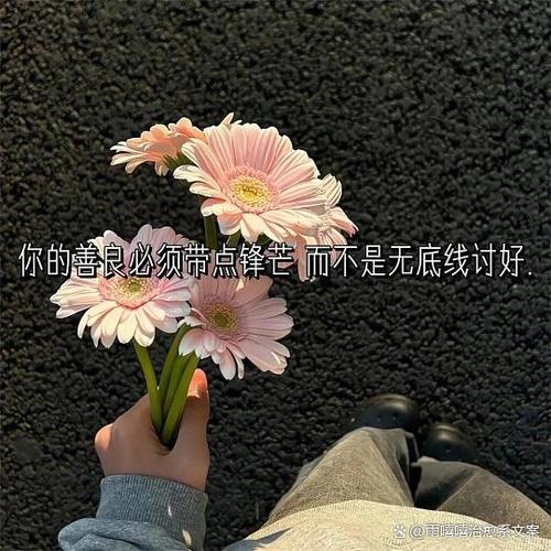 2026最火走心文案