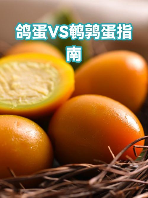 鸽子蛋多少钱一个缩略图