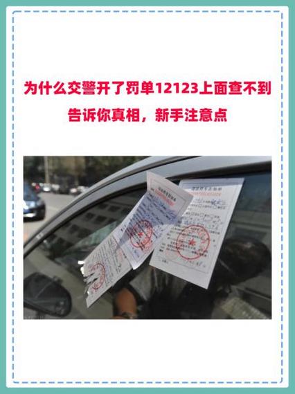 现场开的罚单为啥交管123查不到