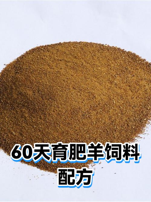小羊吃什么饲料最好