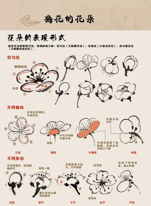 梅花视频观看方法缩略图