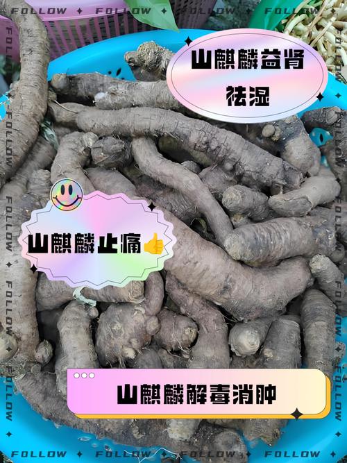 麒麟籽的十大功效