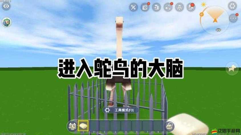 迷你世界鸵鸟饿了吃什么