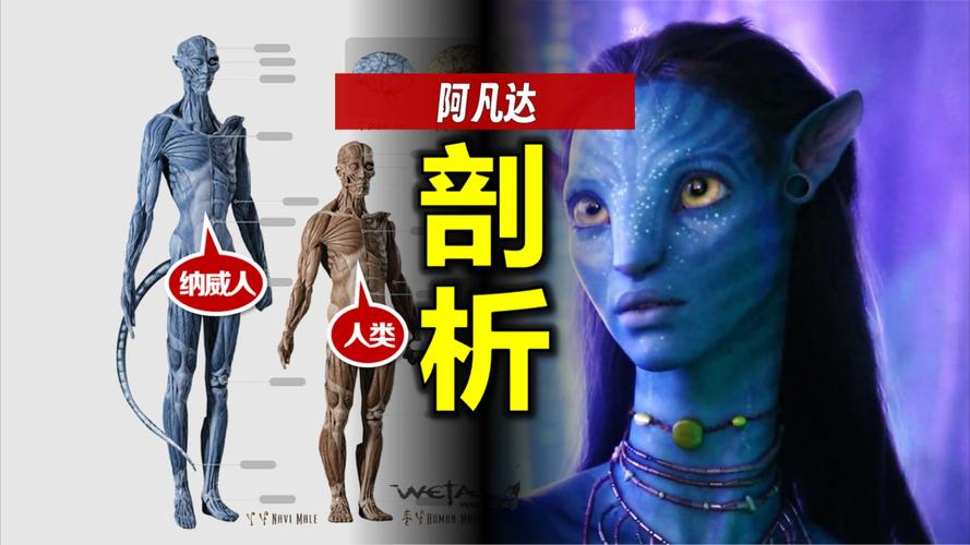 纳威人的生殖系统缩略图