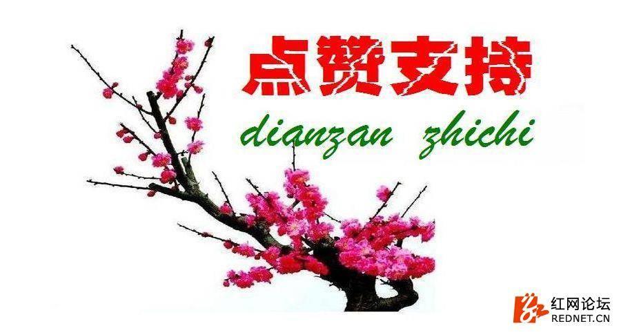 点赞词大全