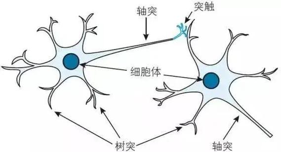 如何建立大脑图书馆