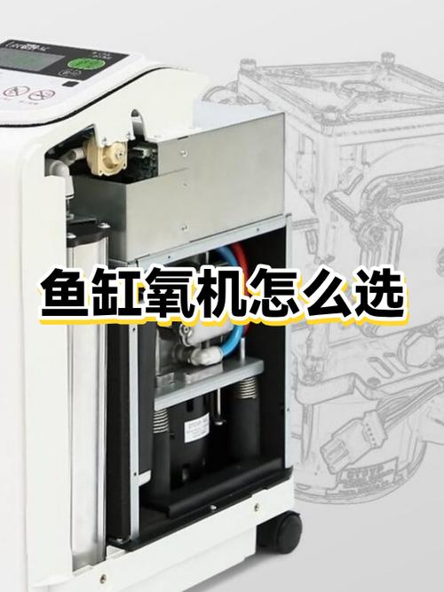 自动供氧神器鱼缸