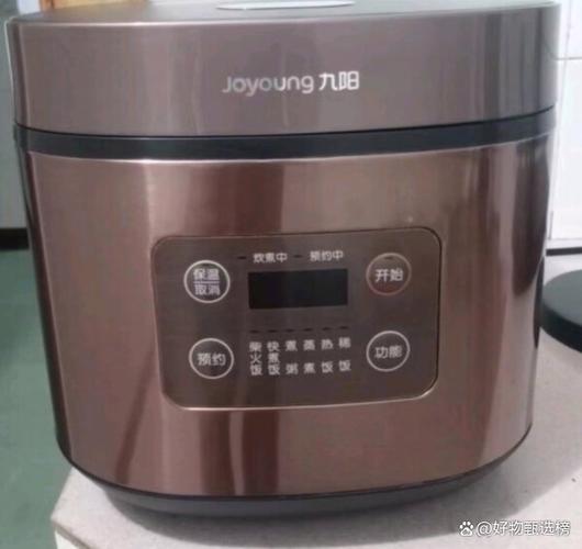 九阳电饭煲炖排骨用哪个功能