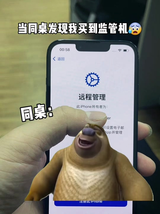 设备已启用内容限制怎么解开