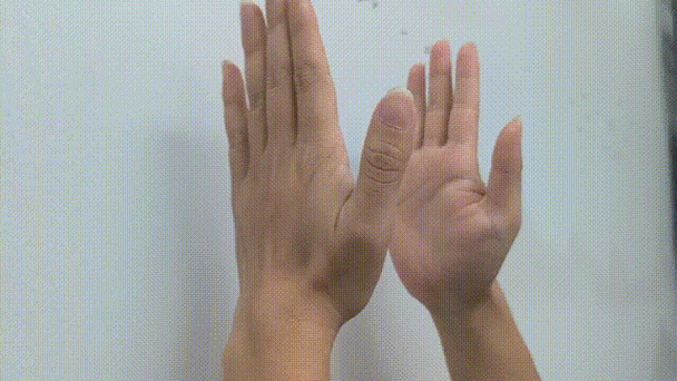 手心有你动态简谱