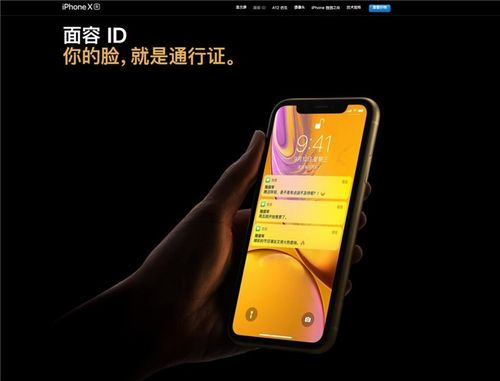 苹果xr触屏显示屏就亮