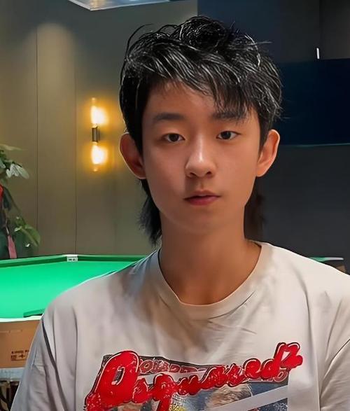 吴宜泽父亲个人简介游戏截图