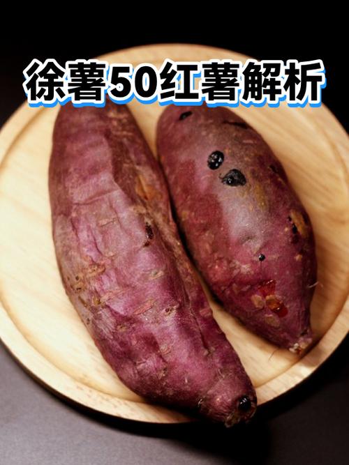 徐薯50红薯品种介绍