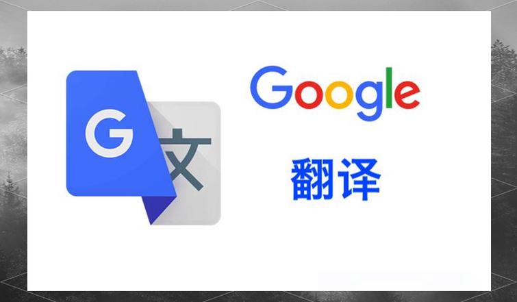 Google 翻译游戏截图
