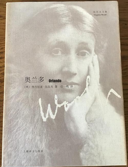 奥兰多 小说
