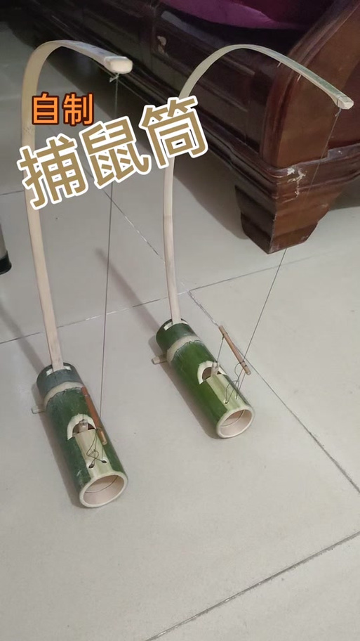 最新最好的抓老鼠神器