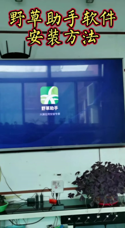 厦普电视机