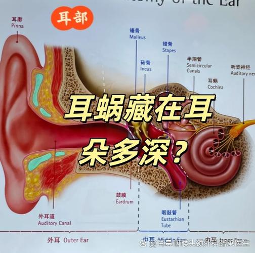教你一招偷听隔壁声音
