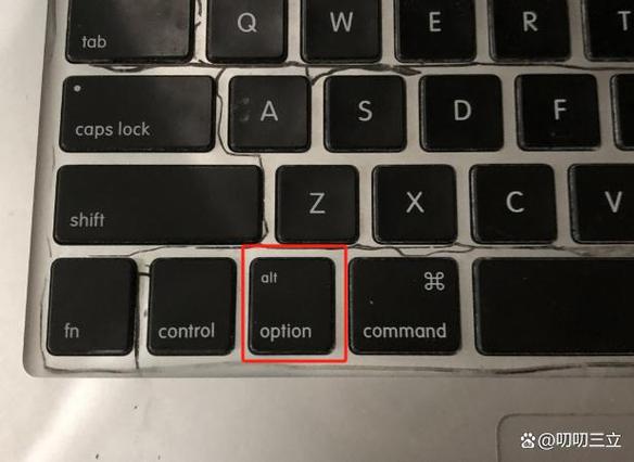 option键的特殊功能