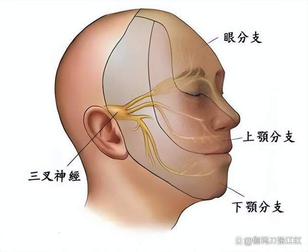 伽马刀一般要做几次